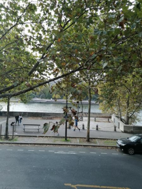 Lovely flat on the seine river